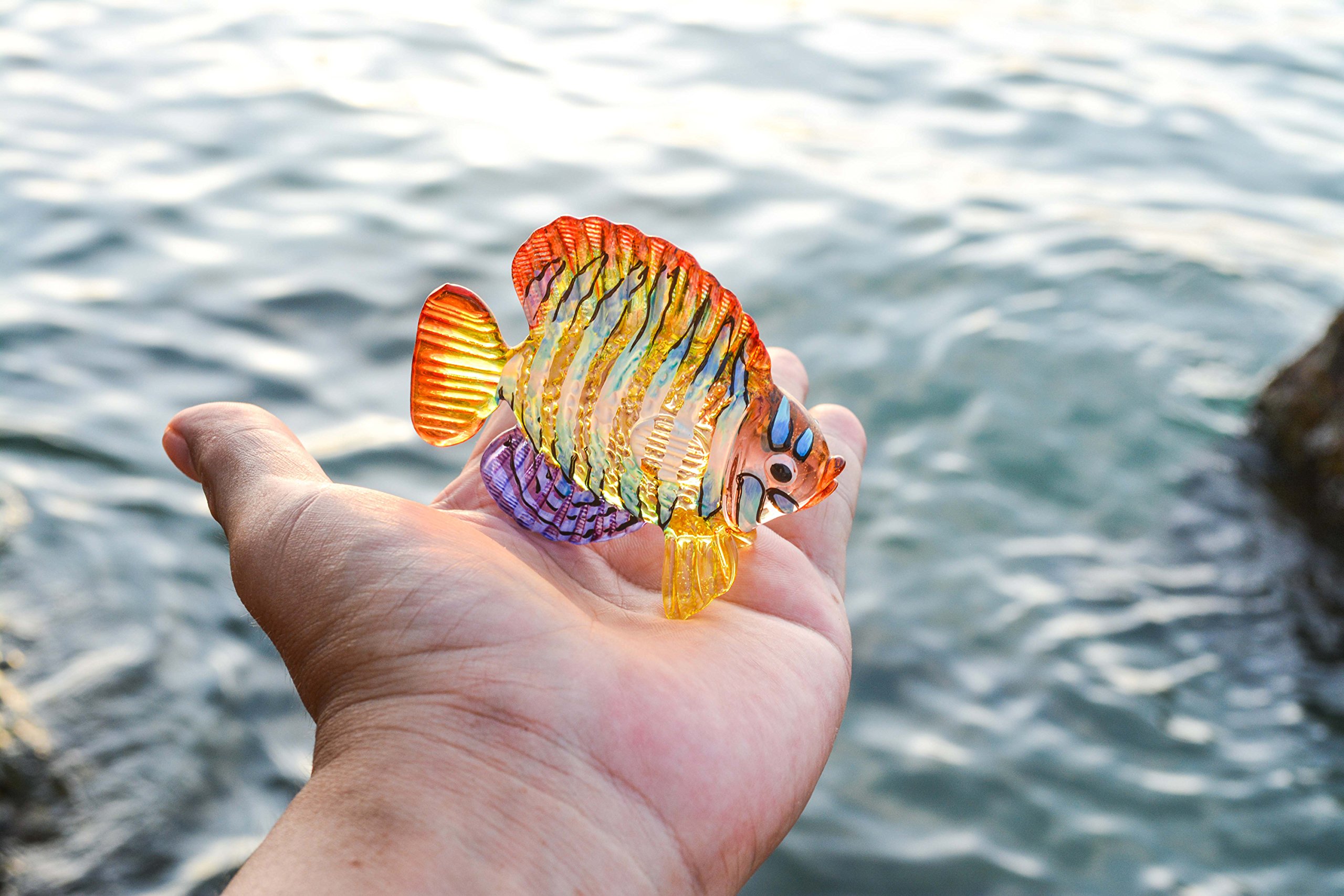 新品未開封 DVD Blankey Jet City Angel Fish Amazon.com: WitnyStore Tiny 2¾